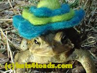 /home//u458753944/public_html/sourcegallery//Roxborough Toad Detour/2013-2019/2017/P3010561.JPG